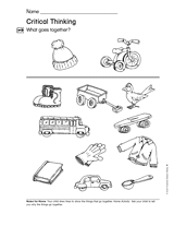 Sort and Graph: Critical Thinking