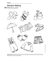 Sorting Objects: Decision Making